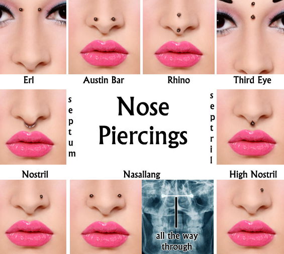 De verschillende piercings in de neus www.riannespiercingshop.nl