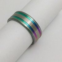 Chirurgisch stalen ring 2 regenboogkleur lijnen