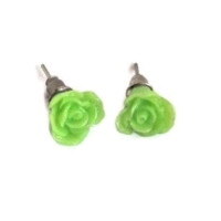 Oorbellen roos groen