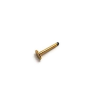 Labret staafje gold plated
